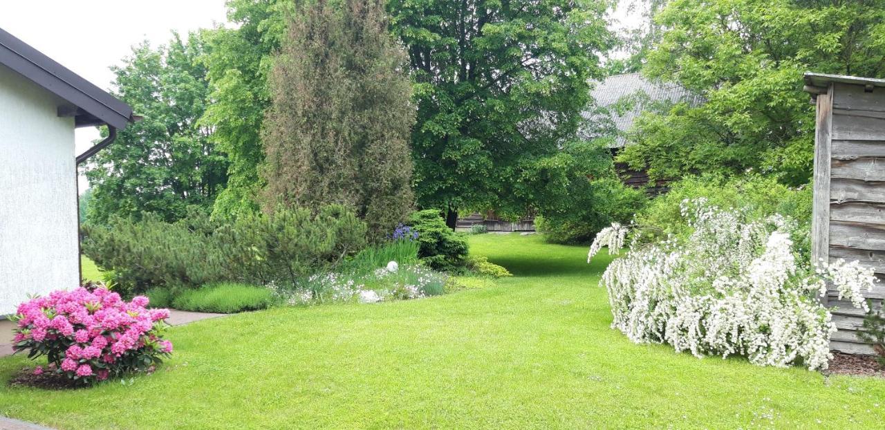 Powrocisz Tu... Villa Sorkwity Dış mekan fotoğraf